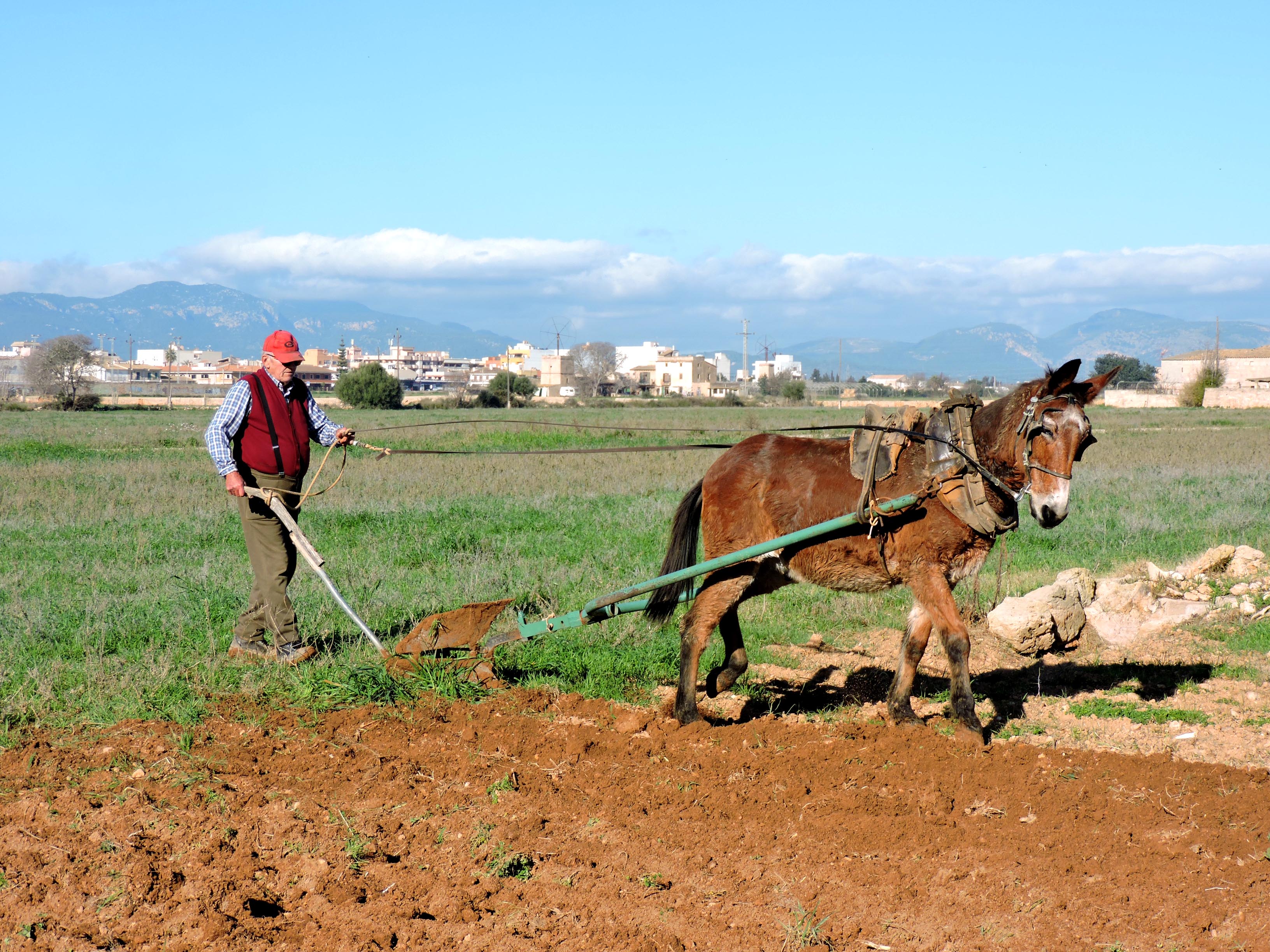 <div>Agriculteur/Agricultrice.<br></div>